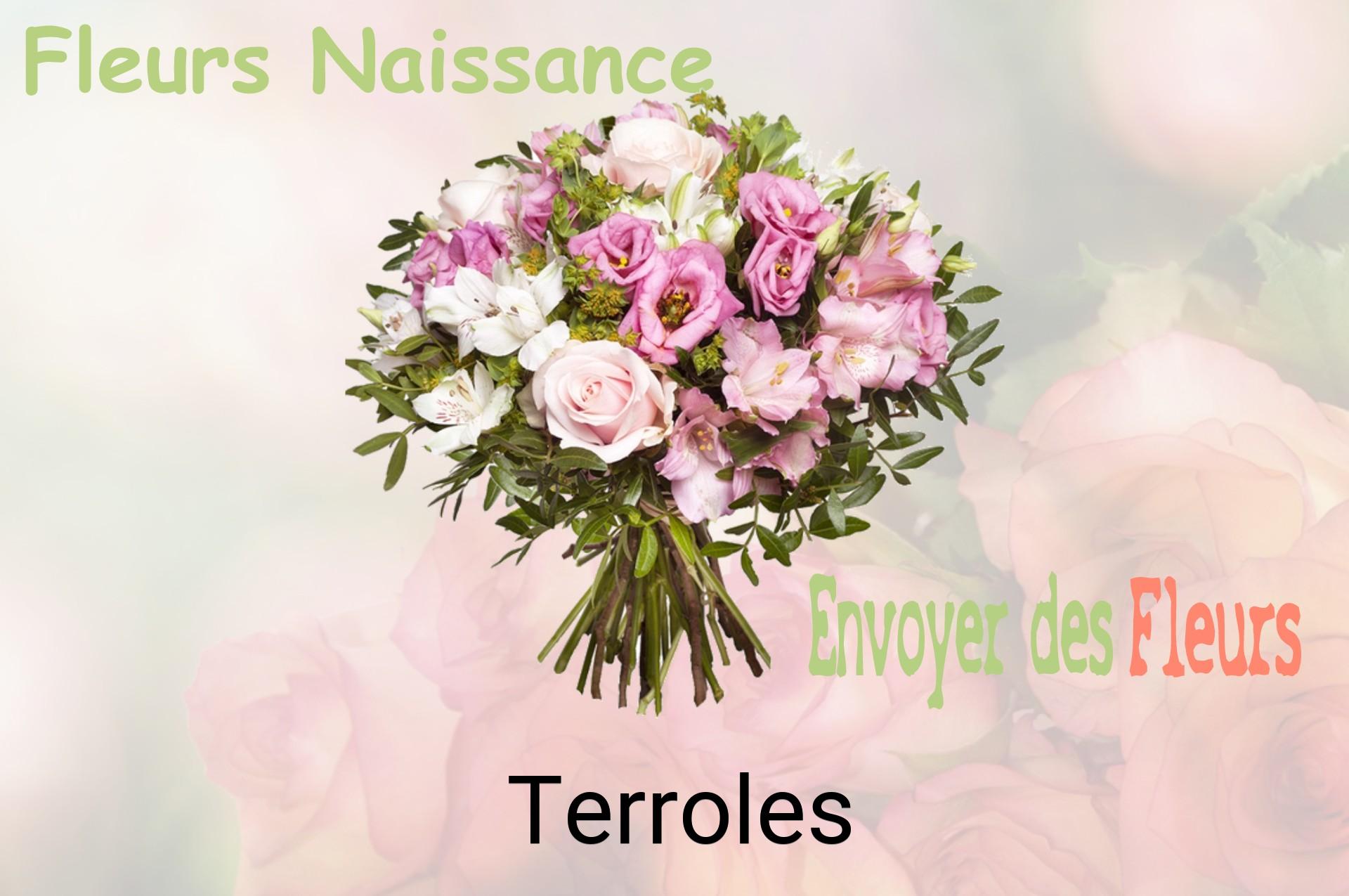 Bouquet de fleurs de naissance livré à Terroles