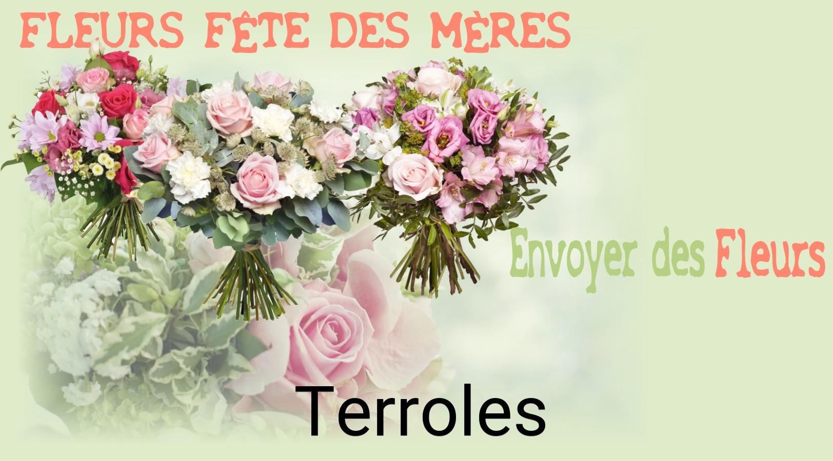 Bouquet de Fête des Mères livré à Terroles
